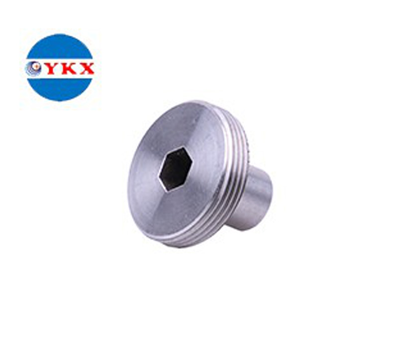 Plug Screw M22